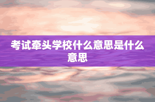 考试牵头学校什么意思是什么意思